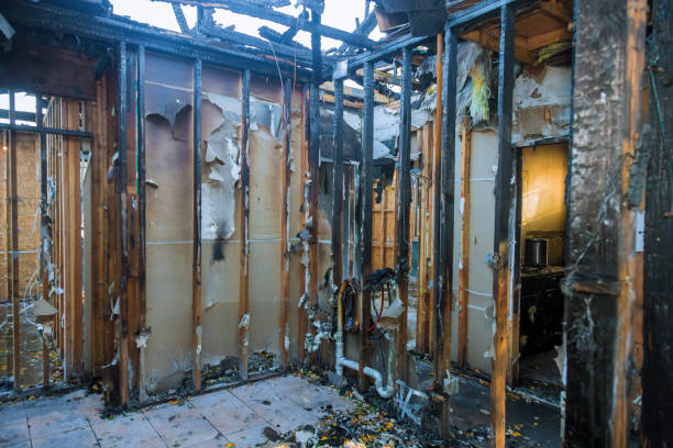 Professional Fire Damage Removal technician working in Circle Pines, MN